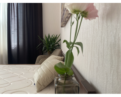 Матрас Patriot/Патриот United collection