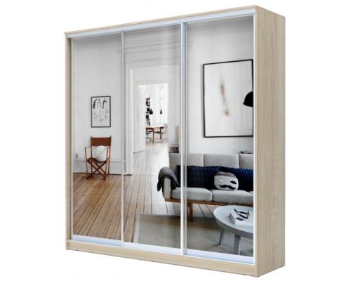 ШКАФ-КУПЕ ШК-013/2400 220Х45Х240