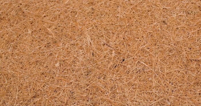 Латексированная кокосовая койра Original